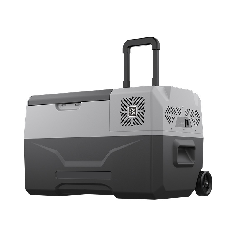 Alpicool冰虎車載冰箱壓縮機製冷車家兩用L12v24v冷凍鋰電池冰箱露營冰箱長途必備