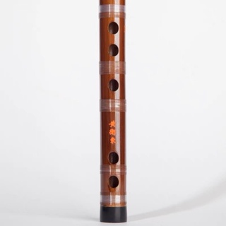 黃衛東 中國笛 笛子初學專業 竹笛橫笛成人 全調性