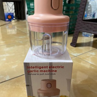 迷你切碎機電動迷你攪拌機