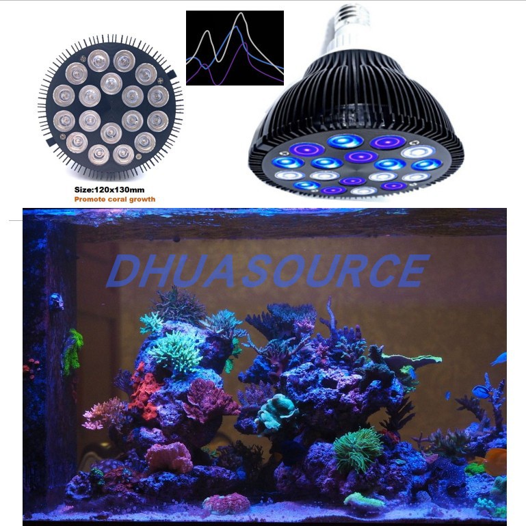 訂製LED珊瑚燈 海缸燈 水族藻缸海水燈 SPS LPS補光fot燈 Reef Lamp A51