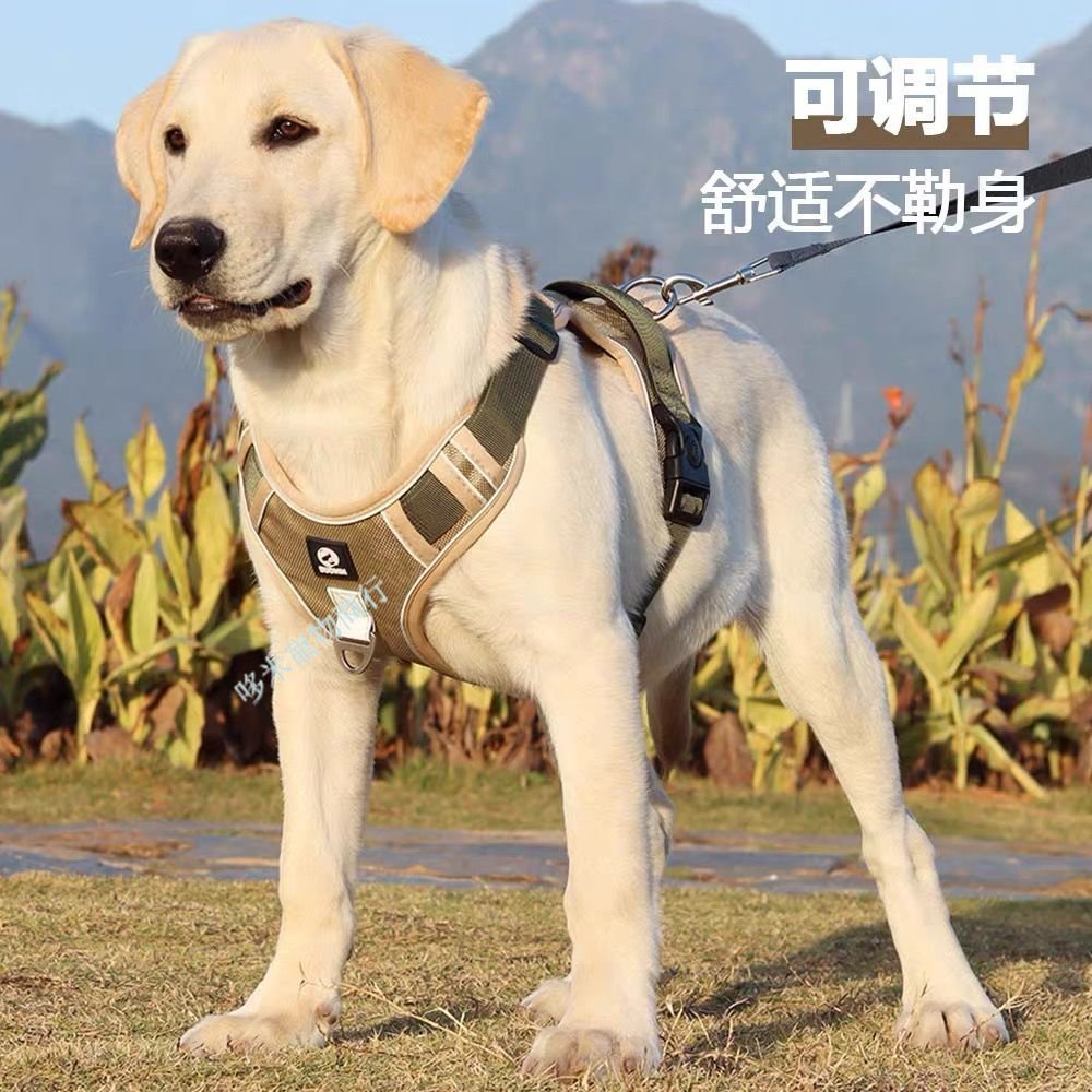 台灣熱賣 大狗牽引繩 防爆沖背心式 胸背帶金毛拉布拉多 中大型犬遛狗 繩狗鏈子.