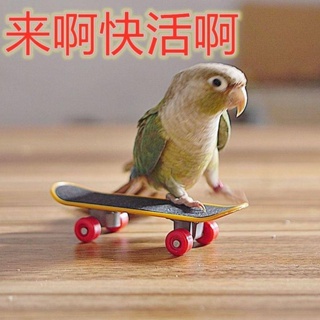 中小型鸚鵡益智玩具磨抓迷你滑板推車鸚鵡訓練小推車