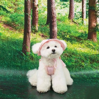 Puppy Gallery🇰🇷 Mypick pink 夏季外出涼感衣 狗狗涼感衣 寵物涼感衣 狗狗涼感背心 寵物涼感