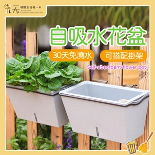 【臺灣現貨】自吸水掛盆 長方形花盆 種菜箱 蓄水花盆 方形盆 自動吸水花盆 種菜盆 自吸花盆 長方形懶人花盆 種菜盆