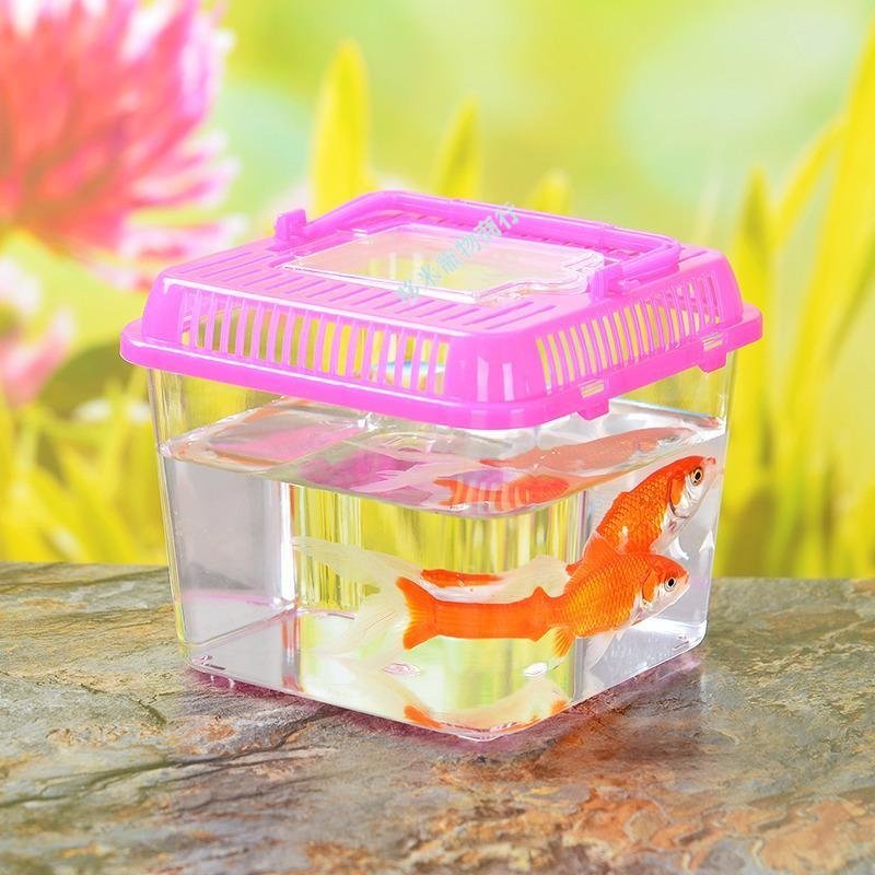 購滿199發貨 台灣熱賣 透明塑料帶蓋 小號魚缸 金魚缸 烏龜缸 寵物盒 烏龜盒 爬蟲飼養盒