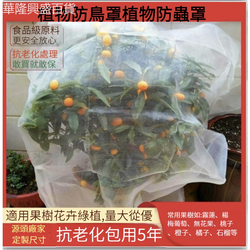 【華隆興盛百貨】果樹防蟲防鳥網罩櫻桃楊梅石榴霧蓮蔬菜水果花卉防果蠅套袋網紗網