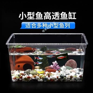 購滿199發貨 台灣熱賣 新款 六角龍金魚觀賞魚 專用飼養魚缸 小型家用大容量 生態造景缸