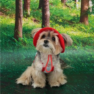 Puppy Gallery🇰🇷 天空藍 夏季外出涼感衣 狗狗涼感衣 寵物涼感衣 狗狗涼感背心 寵物涼感