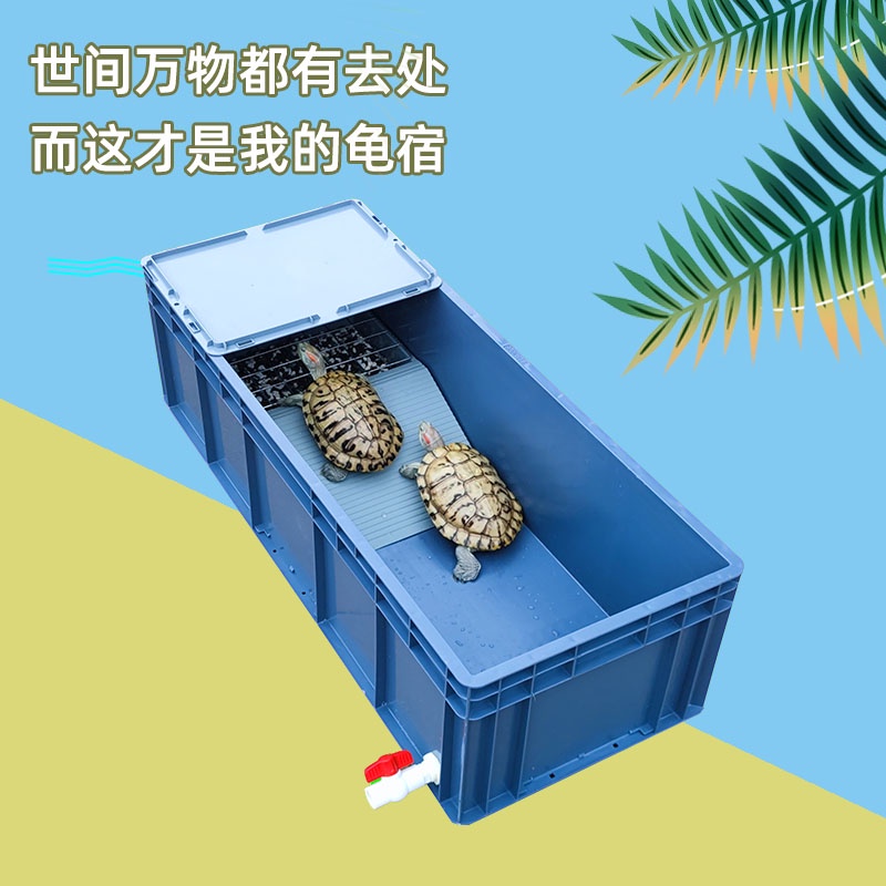 宅配免運 烏龜缸大型專用缸家用飼養缸養龜箱塑料大烏龜池龜盆帶網格產蛋池