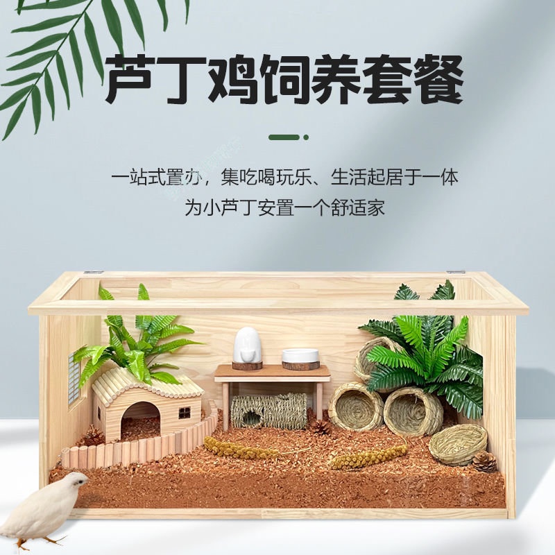 蘆丁雞實木飼養箱套餐 倉鼠刺蝟柯爾鴨鸚鵡 小寵保溫箱 寵物雞育雛箱