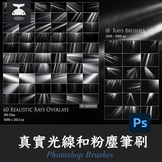 「PS筆刷」真實的光線和粉塵Photoshop筆刷套裝Photoshop Brushes