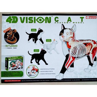 4D MASTER Vison模型/ 半透視貓/ 622004 eslite誠品