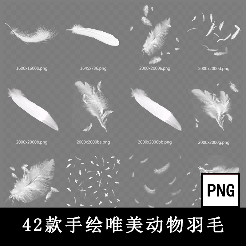 白色唯美透明輕盈羽毛飄落動物羽絨影樓裝飾元素PNG免摳PS素材圖