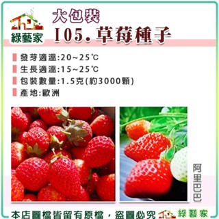 【綠藝家】大包裝I05.草莓種子(阿里巴巴) 1.5克(約3000顆)