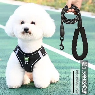 狗狗牽引繩 寵物背帶伸縮 泰迪遛狗小型背心鏈子 比熊胸背調節用品 多功能胸背帶 狗狗胸背帶 胸背帶 狗背帶 伸縮牽繩