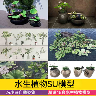 非實物sketchup模型｜ 水生植物魚池生態濕地濱水公園池塘睡蓮荷花荷草本草圖大師su模型