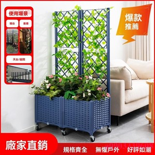 含發票 種植箱 種菜箱 屋頂陽臺室內多功能爬藤支架種植箱 大號蔬菜花槽 種菜箱防腐抗氧化