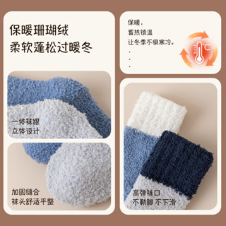 臺灣出貨 批發價 2025 蛇年 新款 厚襪子男士春鞦保暖珊瑚絨中筒襪傢居睡覺加絨加厚毛絨睡眠地闆襪