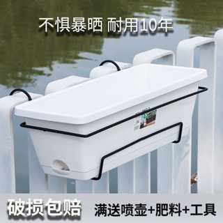 【熱銷五金】陽臺種菜盆花盆塑膠草莓盆栽長方形種植專用箱種菜神器家庭花盆架 優選
