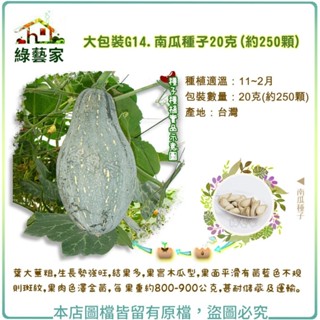 【綠藝家】大包裝G14.南瓜種子20克(約250顆) 葉大莖粗，生長勢強旺，結果多，果實木瓜型