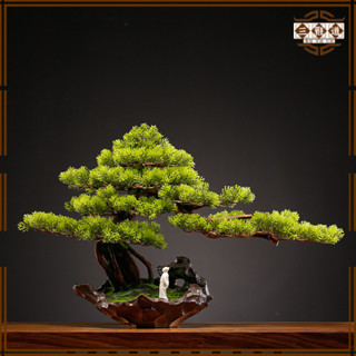 【三雅道】模擬迎客松植物盆景擺件綠植盆栽復古玄關辦公桌面微景觀裝飾
