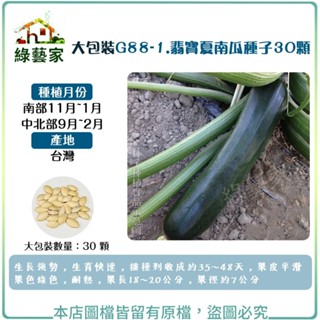 【綠藝家】大包裝G88-1.翡寶夏南瓜種子(綠櫛瓜.節瓜.嫩南瓜.美國南瓜) 30顆/生長強勢，生育快速
