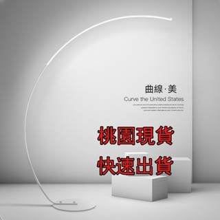 全網最低價【宅配免運🔥桃園出貨】簡約 北歐 落地燈 釣魚燈 落地閱讀燈 無極調光附遙控 沙發燈 氛圍燈 情境燈 腳踏開關