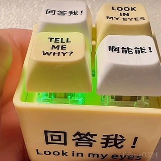 台灣出貨 回答我語音按鍵 Look at my eyes tell me why 發光鑰匙扣 搞笑解壓玩具