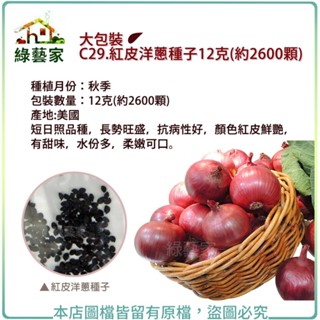 【綠藝家】大包裝C29.紅皮洋蔥種子12克(約2600顆)