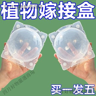 🔥臺灣熱賣🔥植物高壓繁殖嫁接盒扡插繁殖球花卉果樹控根神器生根器園林配件盒熱賣中🎆🎆