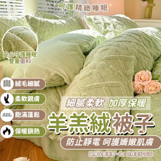 冬季牛奶絨床包四件套 被套床單 二用被 四件組 床單 床單式 標準加大雙人 雙人被套 單人被單 珊瑚絨床包 加絨被套