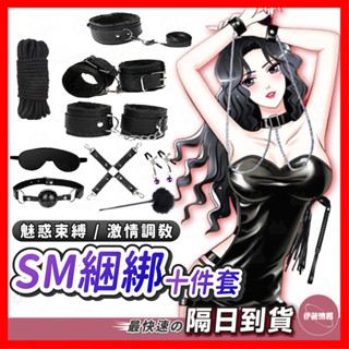 【保密出貨】SM綑綁十件套裝 24H出貨 手銬項圈 乳夾 皮鞭 SM綑綁套裝 綑綁束縛 BDSM SM套裝 口塞