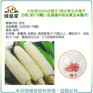 【綠藝家】大包裝G50.白龍王1號水果玉米種子(有藥劑處理)北海道牛奶水果玉米種子
