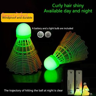 [beautytrend] 5/10 件 LED 羽毛球照明球發光羽毛球羽毛球運動夜光訓練羽毛球黑暗遊戲 [新]
