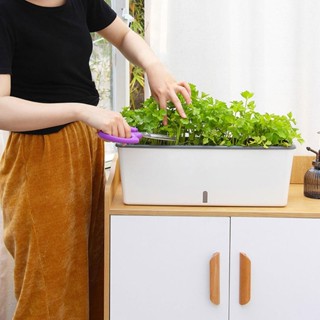 [utruiut] 窗臺容器多功能自澆水矩形花盆盒蔬菜種植盆用於窗臺門廊家庭庭院裝飾