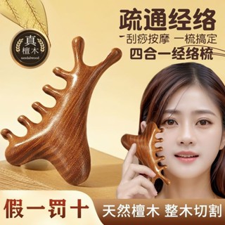 按摩梳 Massage comb 多功能頭皮按摩梳子頭部脫髮頭療刮痧疏通經絡神器臉部眼部檀木梳