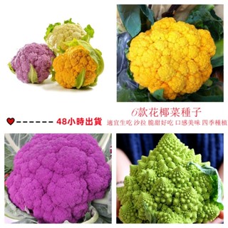 12h出貨 花椰菜（50粒） 西藍花種子 西蘭花 四季蔬菜種植 植物種子 庭院陽臺農田種植 盆栽地栽 菜籽 seed