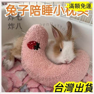 🚚臺灣發貨+統編🚚限時下殺 小兔子睡覺枕軟趴墊 解悶玩具 陪伴耐咬磨牙枕頭寵物枕侏儒兔護頸窩