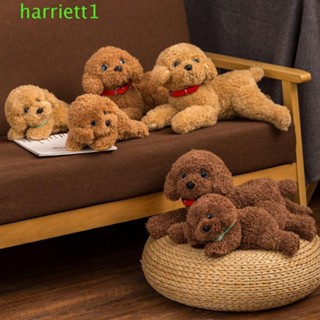 HARRIETT狗狗絨毛玩具,水平模擬毛絨小狗娃娃,實際的軟萌可愛毛絨動物貴賓犬毛絨玩具兒童女孩
