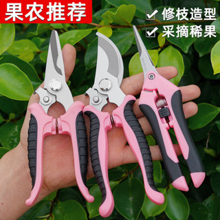 臺灣熱賣 強力園藝剪刀不鏽鋼省力修枝剪果樹粗枝樹枝專用剪子 612