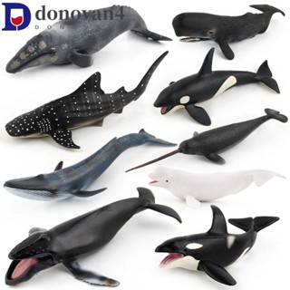 DONOVAN海洋動物模型,模擬抹香鯨鯨魚公仔,收藏海洋動物水下生物教育類海洋生物人物兒童玩具