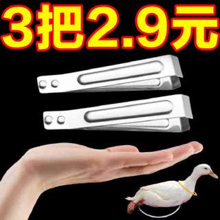 剝蒜器 廚房用具 剝蒜器去皮扒蒜神器夾子不銹鋼豬毛拔毛器去毛家用鉗夾拔雞鴨鑷子