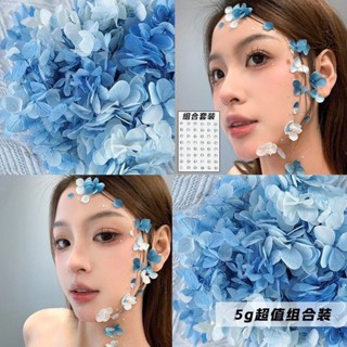 「莓莓的草莓屋🍓」永生繡球安娜幹花貼 手工材料幹花貼 乾花相框幹花貼 玻璃罩花器花材幹花貼 團建diy花瓣花藝