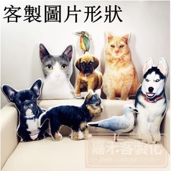 客製化 公仔 抱枕 DIY圖片 來圖訂製異型抱枕 玩偶定做 娃娃來圖定做 公司吉祥物印logo 異形 diy訂製