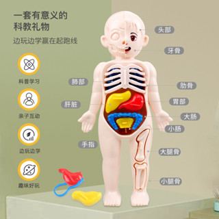 熱賣#兒童科敎認知玩具人體器官結構模型拚裝配對醫學早敎男女孩小禮物4er