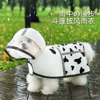 狗狗雨衣泰迪比熊專用小型犬博美中型犬小狗雨披防水寵物衣服柯基6.12