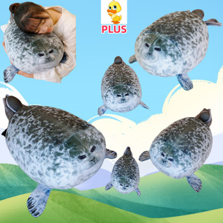 PLUS✨高品質✨毛絨海獅公仔趣味海豹毛絨公仔寶寶安撫毛絨動物畢業交流用品玩具禮物兒童禮物情侶生日禮物