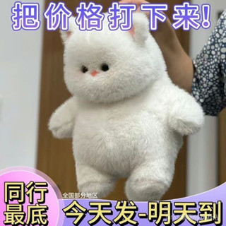 毛絨玩具/娃娃 Plush toys/dolls 喵它崽可愛白色貓咪公仔超軟毛絨玩具陪睡抱枕男女生日禮物
