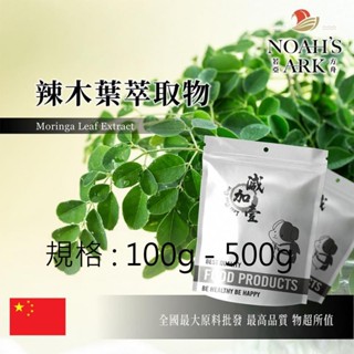 戈登維特 100g - 500g 辣木葉萃取物 保健原料 食品原料 辣木葉 維生素 高蛋白 高纖維