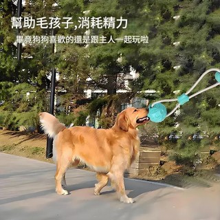 PPSA生活館【新品寵物玩具】吸盤拉繩球 新品狗狗玩具 耐咬不爛吸盤骨頭玩具 磨牙寵物用品 新品
